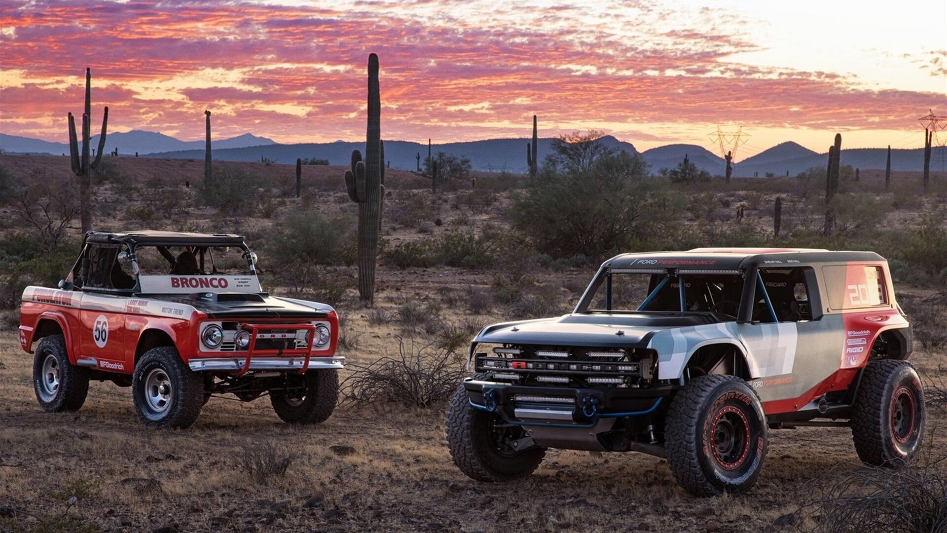 里尔签下国际新星,里尔走出的球星