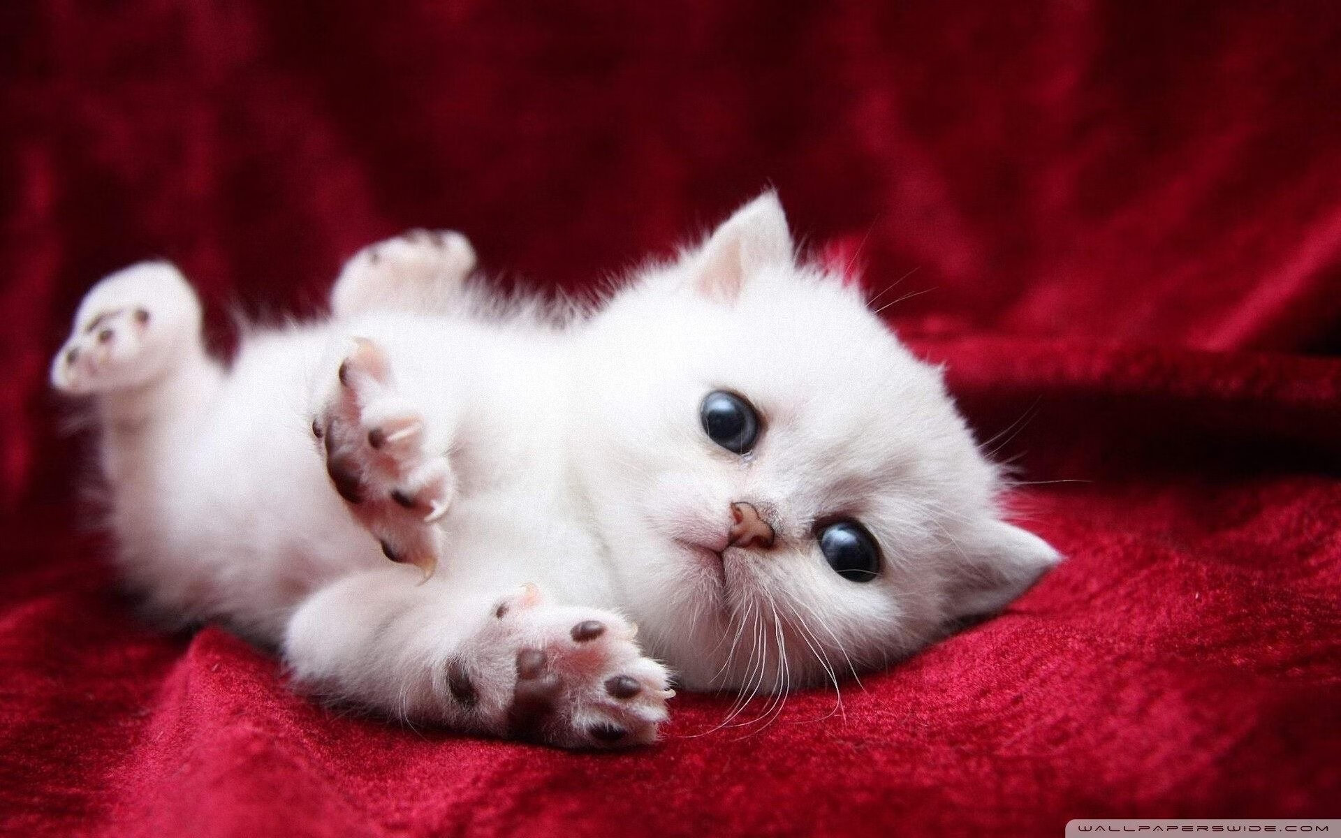 AYX体育官网-传奇再现：那些令人怀念的经典战役场景，传奇最经典的一首战歌