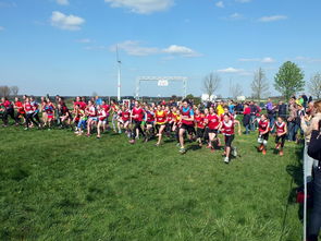 爱游戏app下载-全国青少年劳动体育竞赛各项赛事激烈进行，全国青少年劳动体育竞赛各项赛事激烈进行的原因