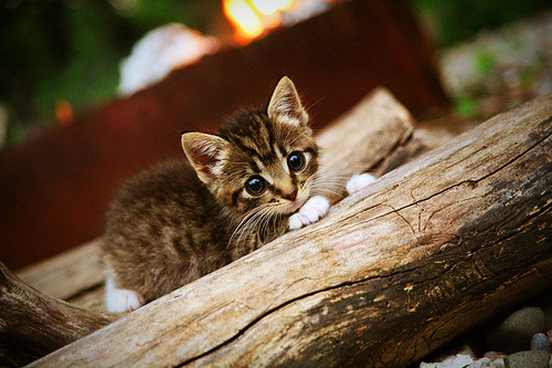 英超球队中场组织策略与防守稳定性相关性分析,英超中场新星