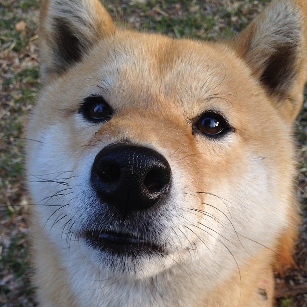 青少年体育社会支持系统研究,青少年体育司