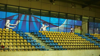 爱游戏平台-高校体育赛事安全管理体系构建，学校体育赛事体系