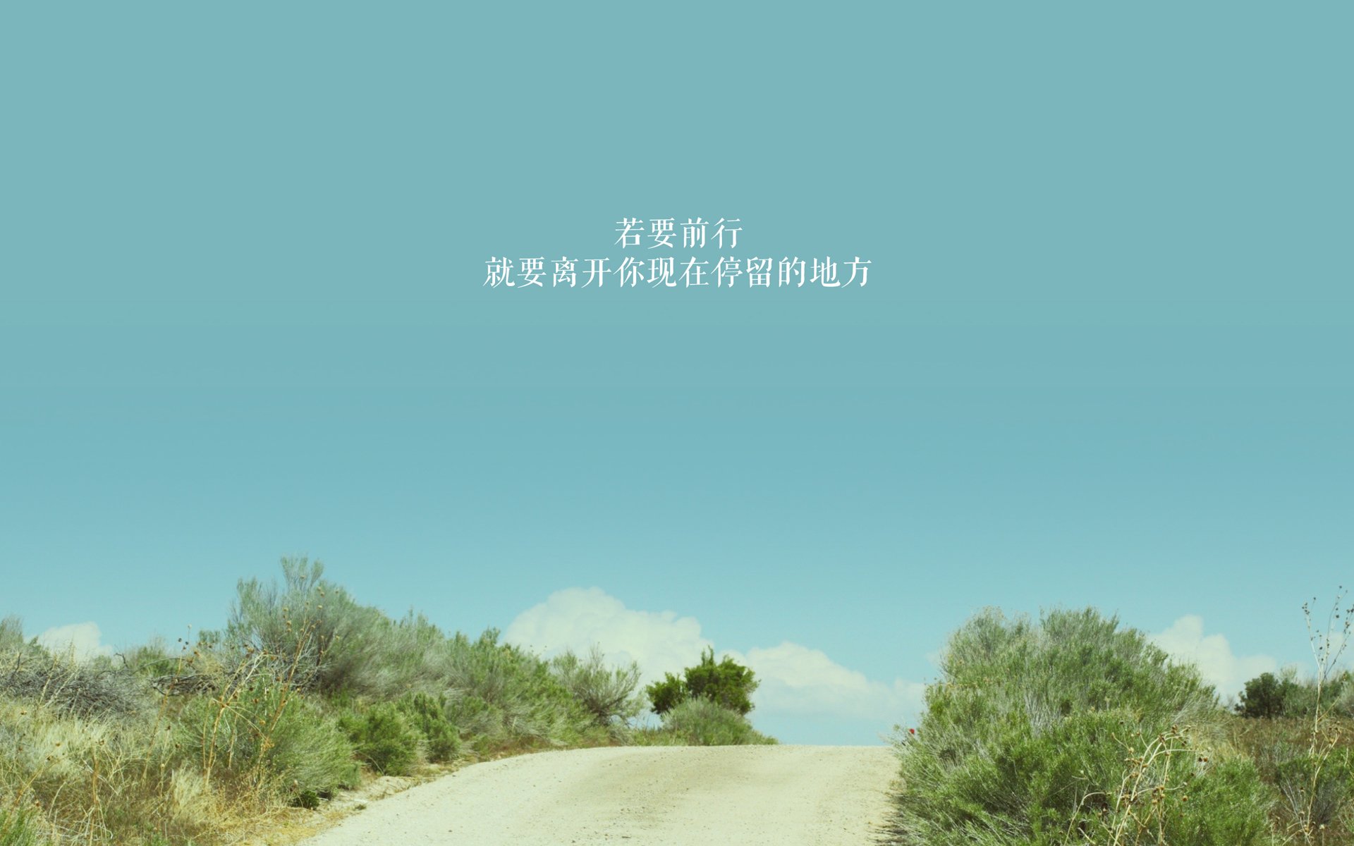 中超联赛中国足球战败 球迷呼吁加强防守，足球,中超