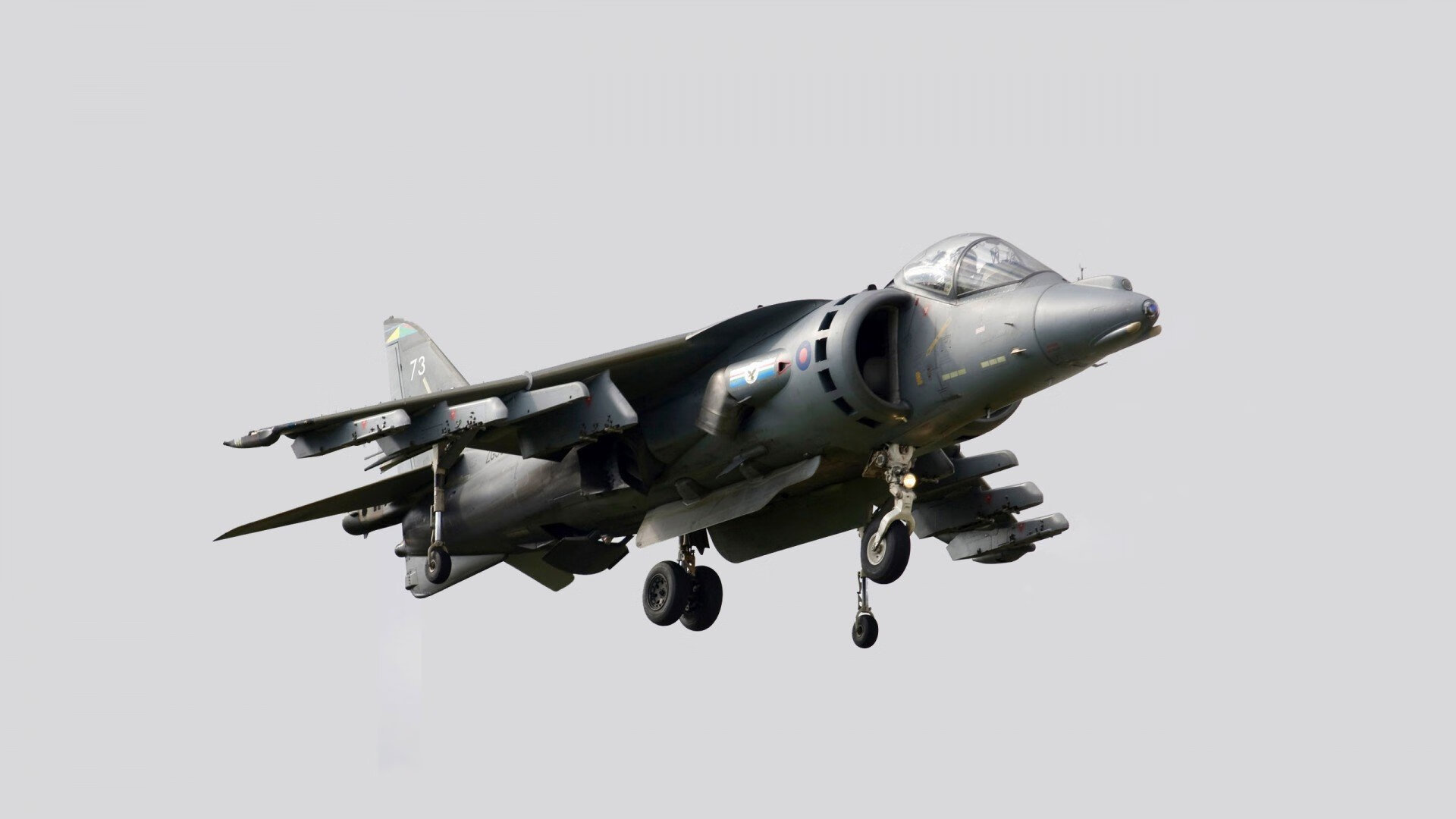 团体赛制下的澳大利亚队：提升全队水平的关键战术，澳大利亚队大名单