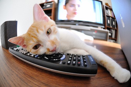 奥预赛中国青年队战败 球迷希望尽快调整,奥预赛中国男篮