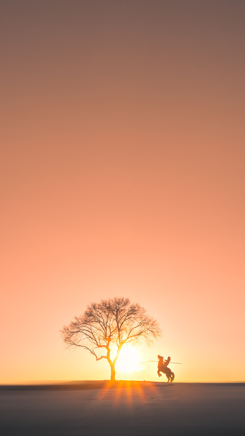 校园篮球专项课标准正式发布推广,校园篮球实施方案