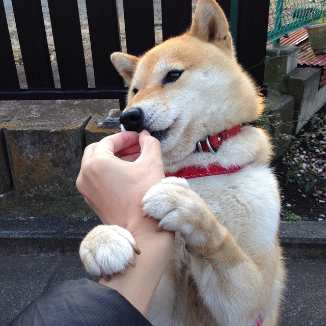 世界杯刺激角逐:逆境逆袭成就传奇瞬间,世界杯记