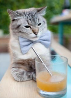 爱游戏中国官方网站平台-伤病名单公布主力缺席或将影响接下来的三场比赛，伤病球员