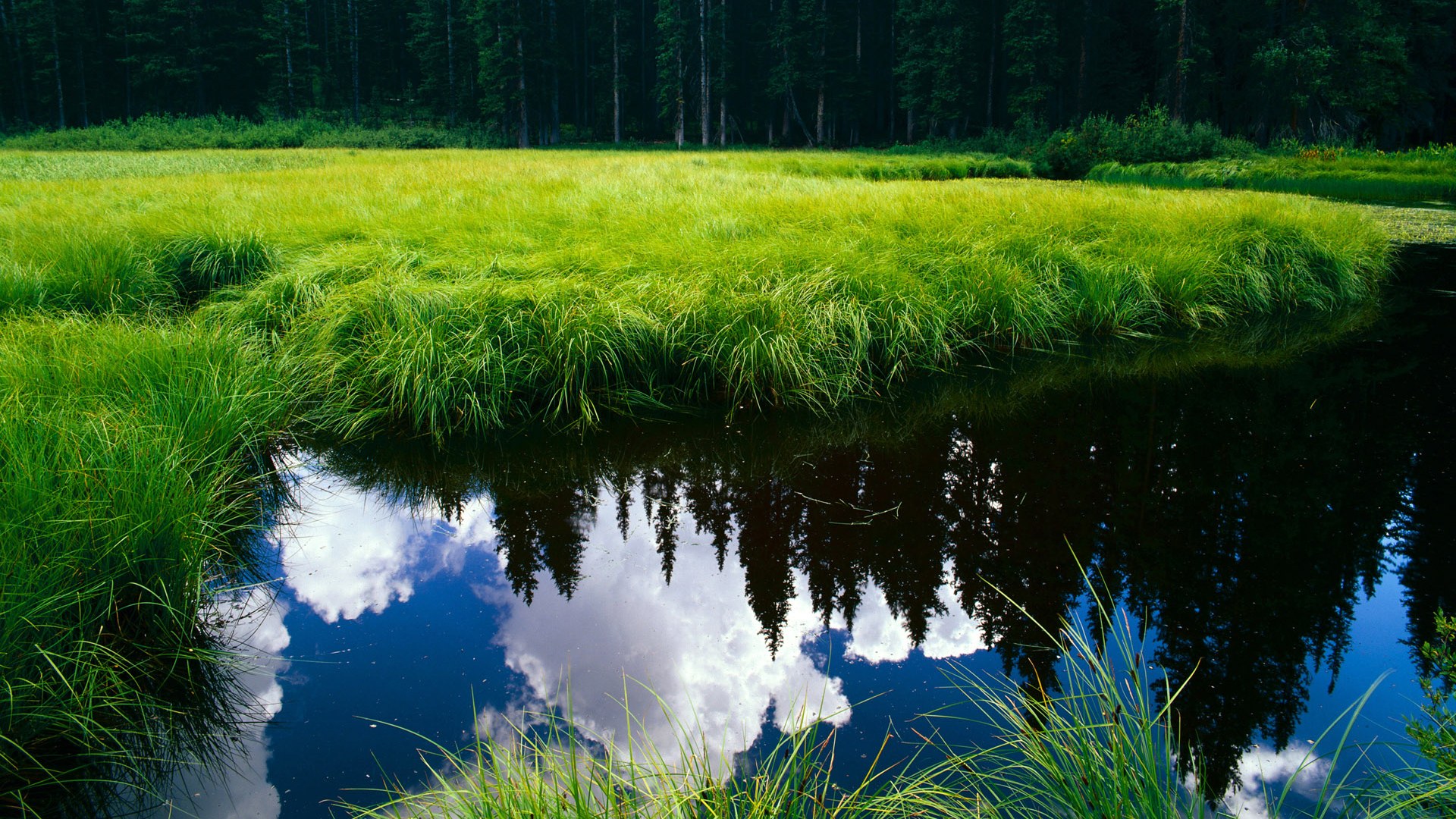 足球运动员健康管理体系不断完善,科学预防运动损伤,足球运动员的保护措施
